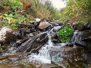 BOCCHETTA di BUDRIA (2216 m)-BIVACCO ZAMBONI (2007 m)-RIF. BALICCO (1995 m) ad anello-13ott25 - FOTOGALLERY